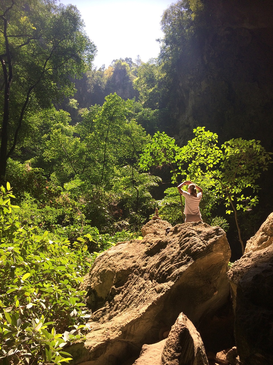 最新二豆，探索与发现的旅程