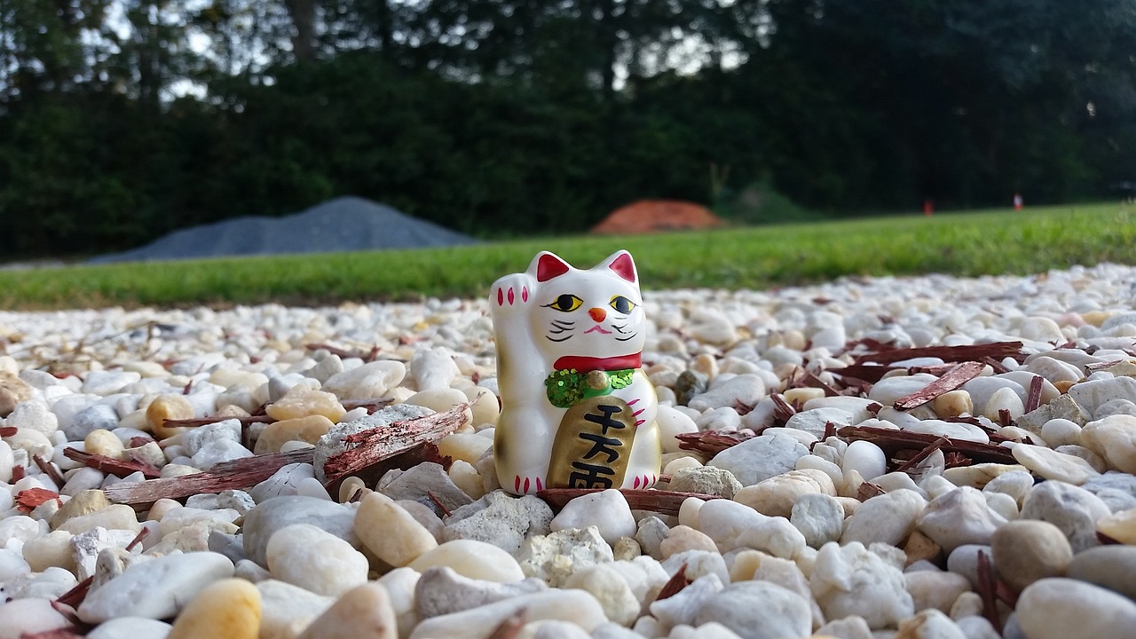 汇率最新行情概览，全球货币动态及其对市场的影响