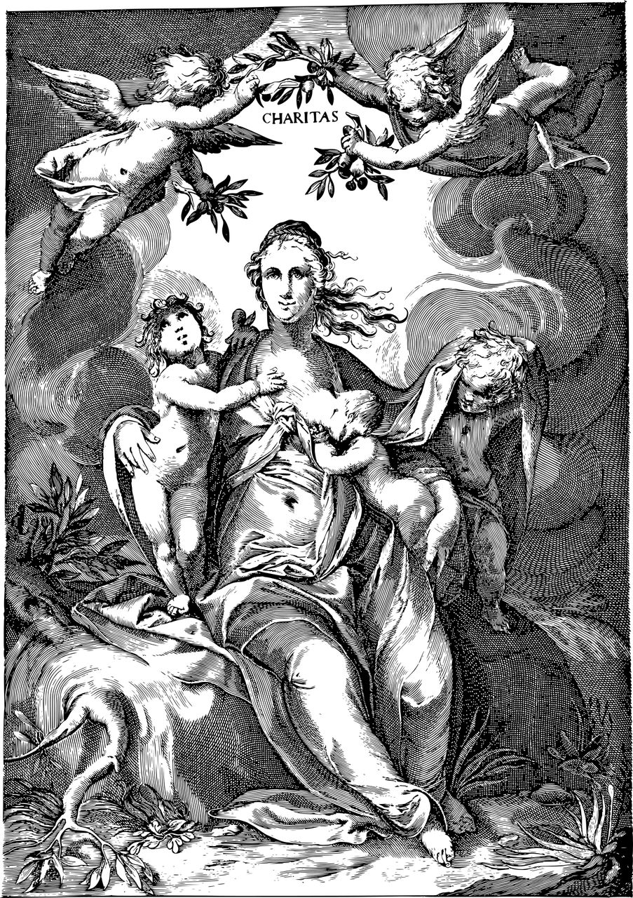 最新埋母案，伦理道德的扭曲与反思